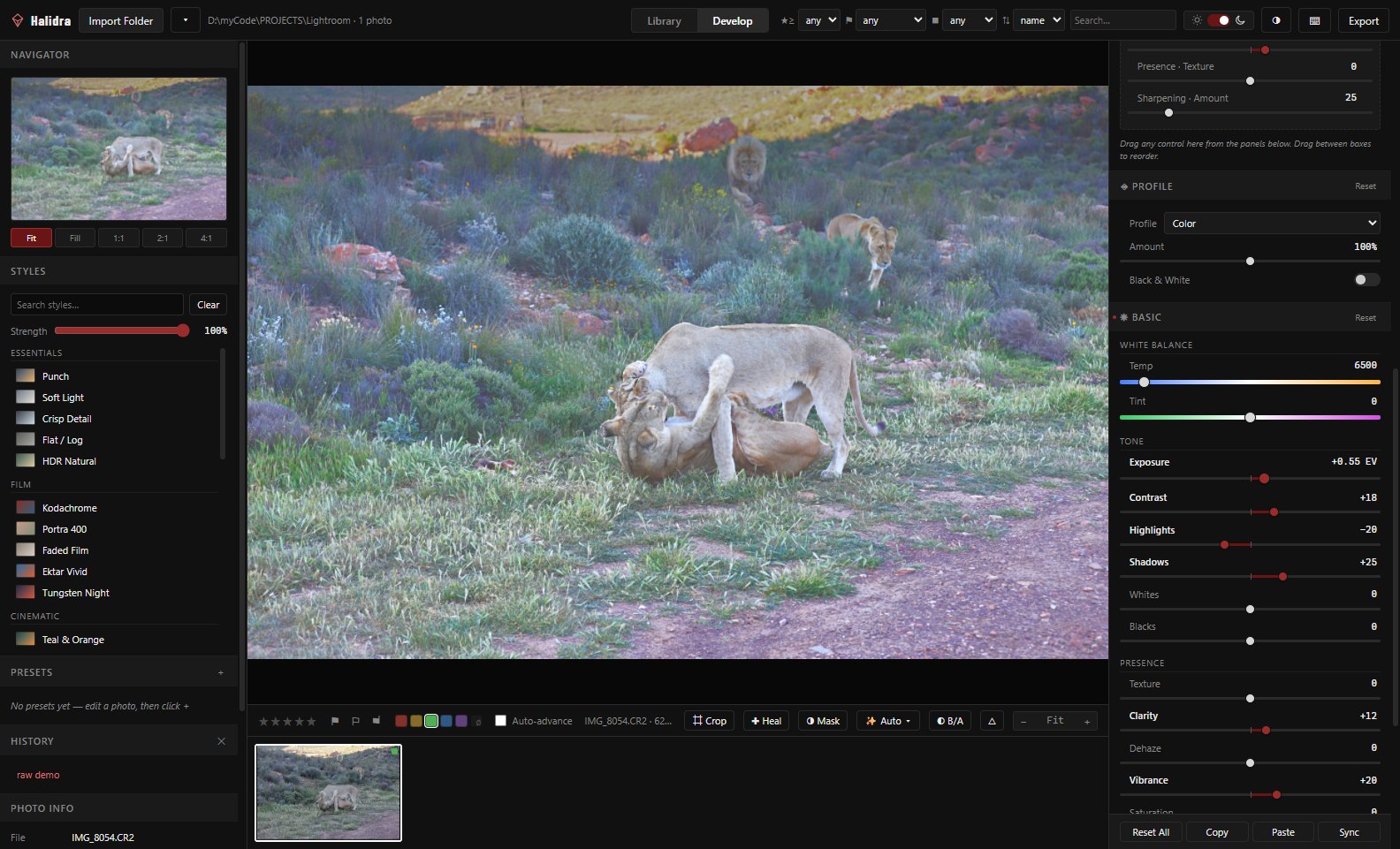 Halidra's Develop module open on a Canon CR2 photo of lions, with the Basic panel's exposure, contrast and white balance sliders visible on the right.
